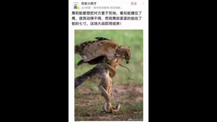 watch: 剩下的選擇似乎不多，但每一招都是致命的
