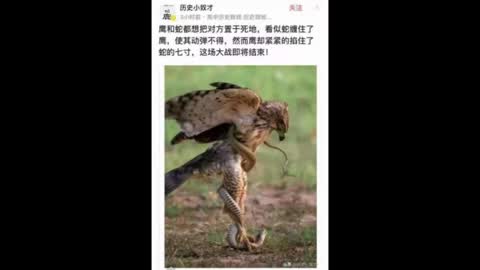 watch: 剩下的選擇似乎不多，但每一招都是致命的