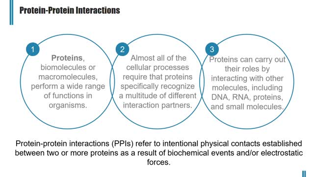 Introduction to PPI