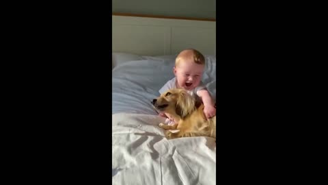 Baby and puppy instantly share super precious friendship