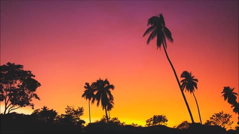 Lasswell - When Summer’s Over