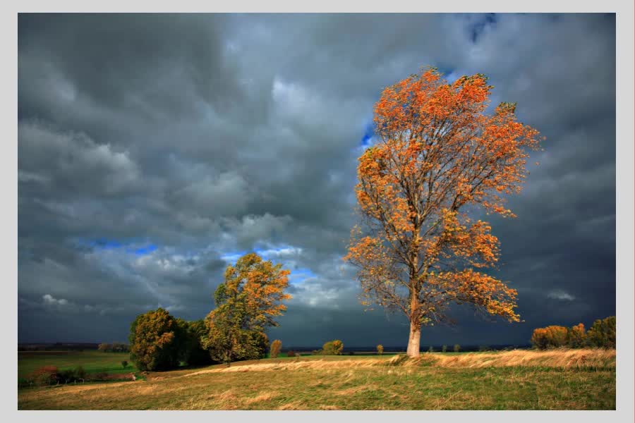 Autum Storm/Earth is Calling