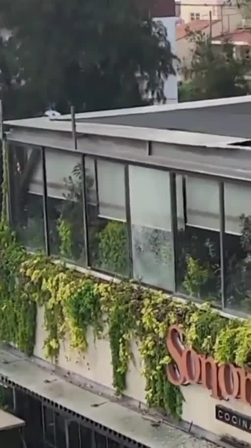 A Reported Cartel Hit Done Against A Restaurant In Guadalajara, Mexico