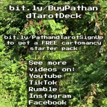 Fool's Understanding – Tarot Reading