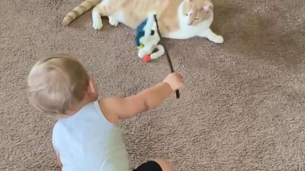 Babies love cat