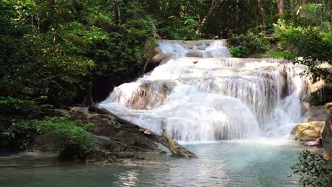 clip about waterfalls in the wild, they are so majestic