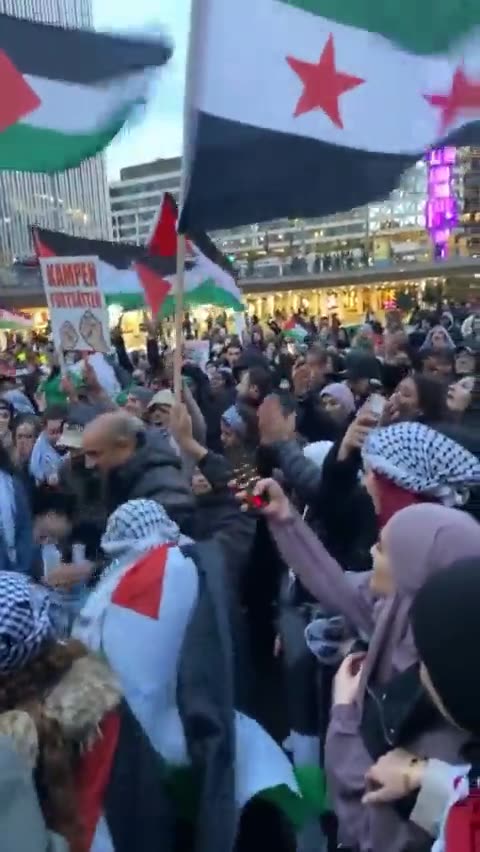Sweden people attack Israels flag