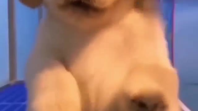 How cute he is?
