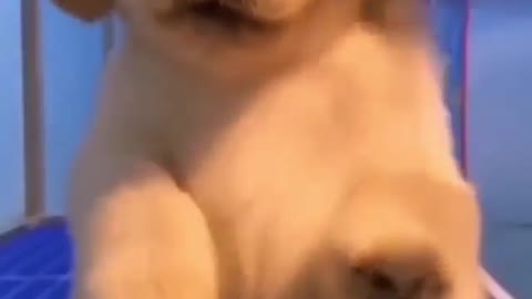 How cute he is?