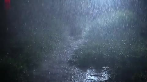 Thunderstorm Sounds Heavy Rain Sounds for Sleeping