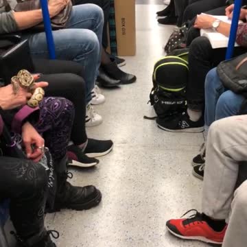 Man with purple hair with snake in hand