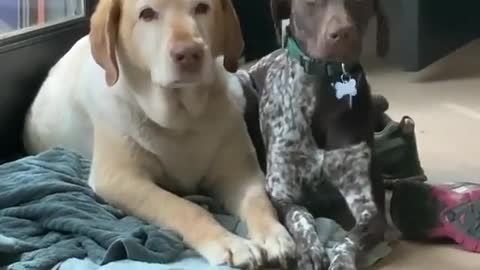 Leave me alone kid.