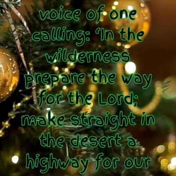 🎄 Countdown to Christmas: Day 11 - A Hopeful Beginning 🎄