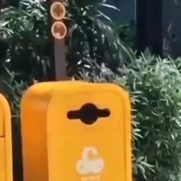 Watch How Aware Of Their Surroundings These Animals Are