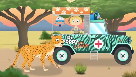 Asha The Cheetah, Zoo ,Animals