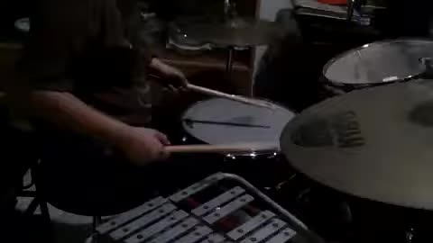 I Just Can't Get Enough drum and lyre cover
