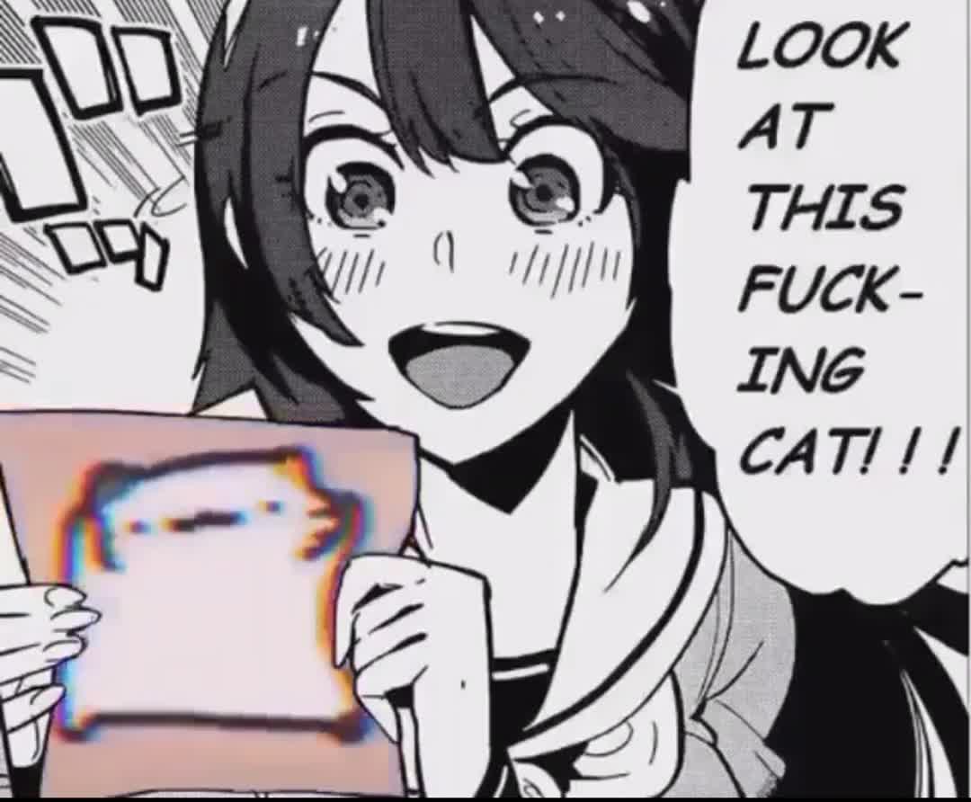 Look is cat