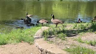 GENERAL BUTLER STATE PARK KENTUCKY USA