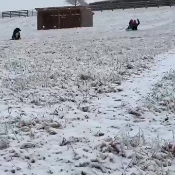 LaRue and Grayci Ice sledding