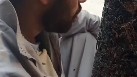 i funny videos i want funny videos i watch funny videos i like funny videos