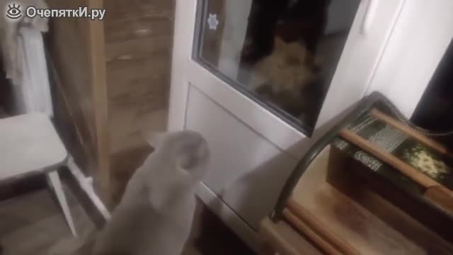 Open the door for me, man!