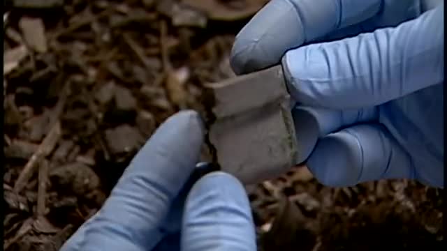 Medical Detectives (Forensic Files) - Season 11, Ep 20 Live Wire