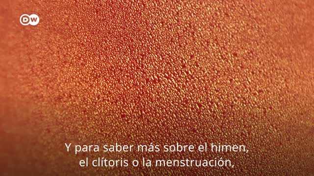 Salud y cuerpo: conozca la diferencia entre vagina y vulva [Video]