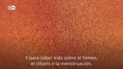 Salud y cuerpo: conozca la diferencia entre vagina y vulva [Video]