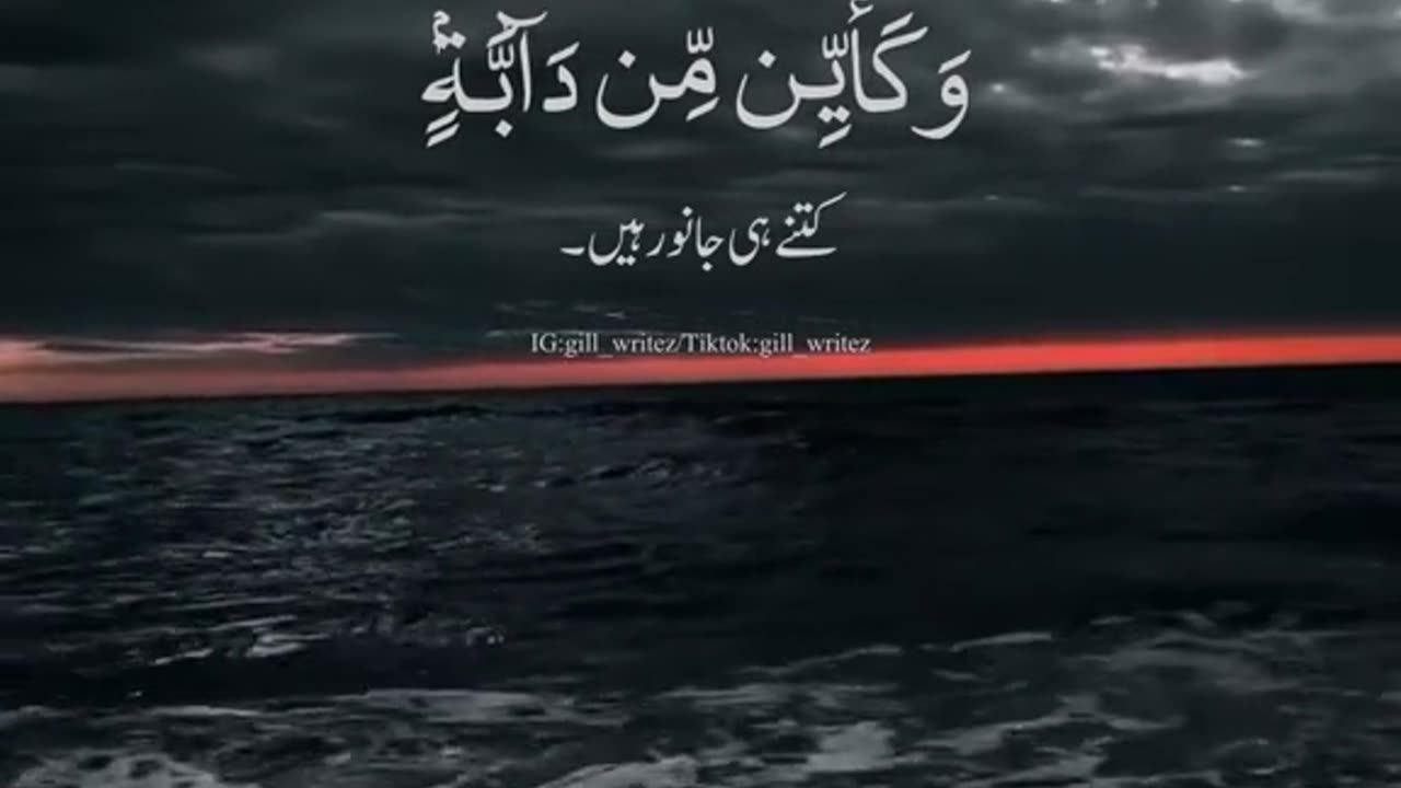 QURAN AAYAT