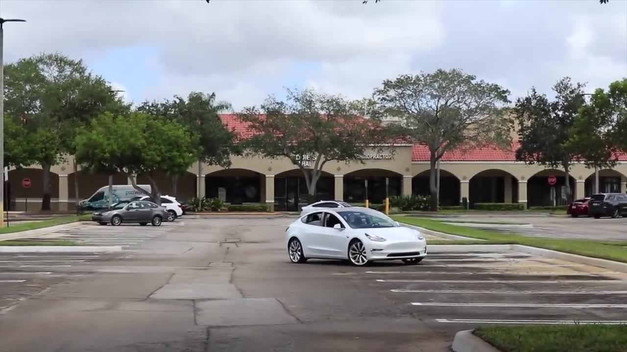 Police Pull Over Driverless Tesla Model 3 that was using Smart Summon Features