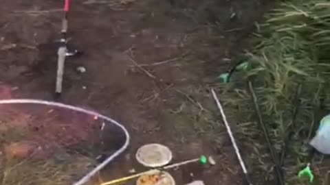Fishing humor