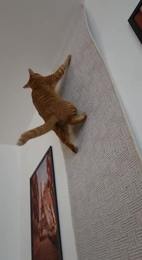 Who needs a gym 🤣😱