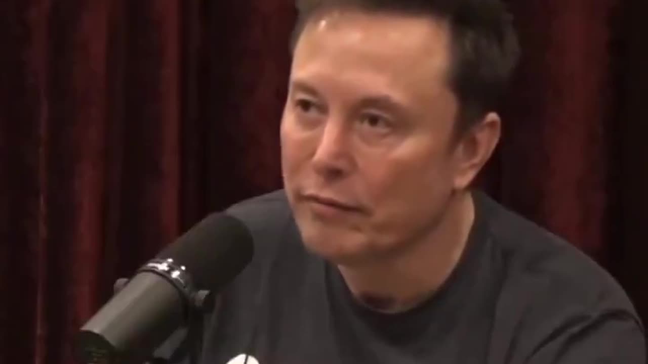 Elon Musk Has Horrifying Warning For Americans Before Election