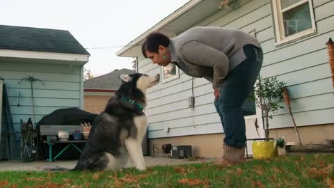 Perro le salva la vida al descubrir su enfermedad!