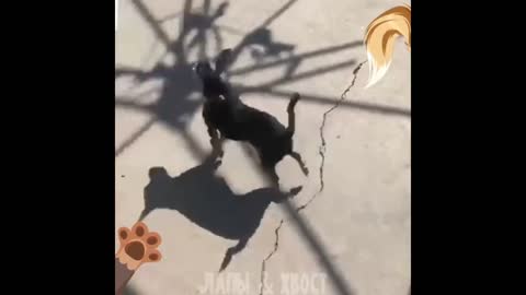 Dancing till you drop