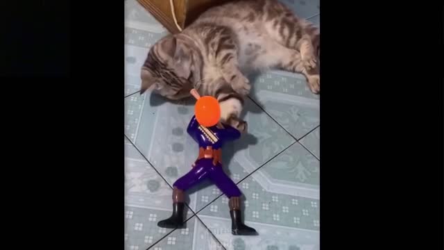 Funny cats that will make your day|| Trynot to laugh video