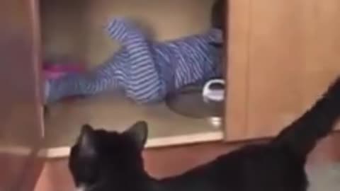 Funny Baby AndCat