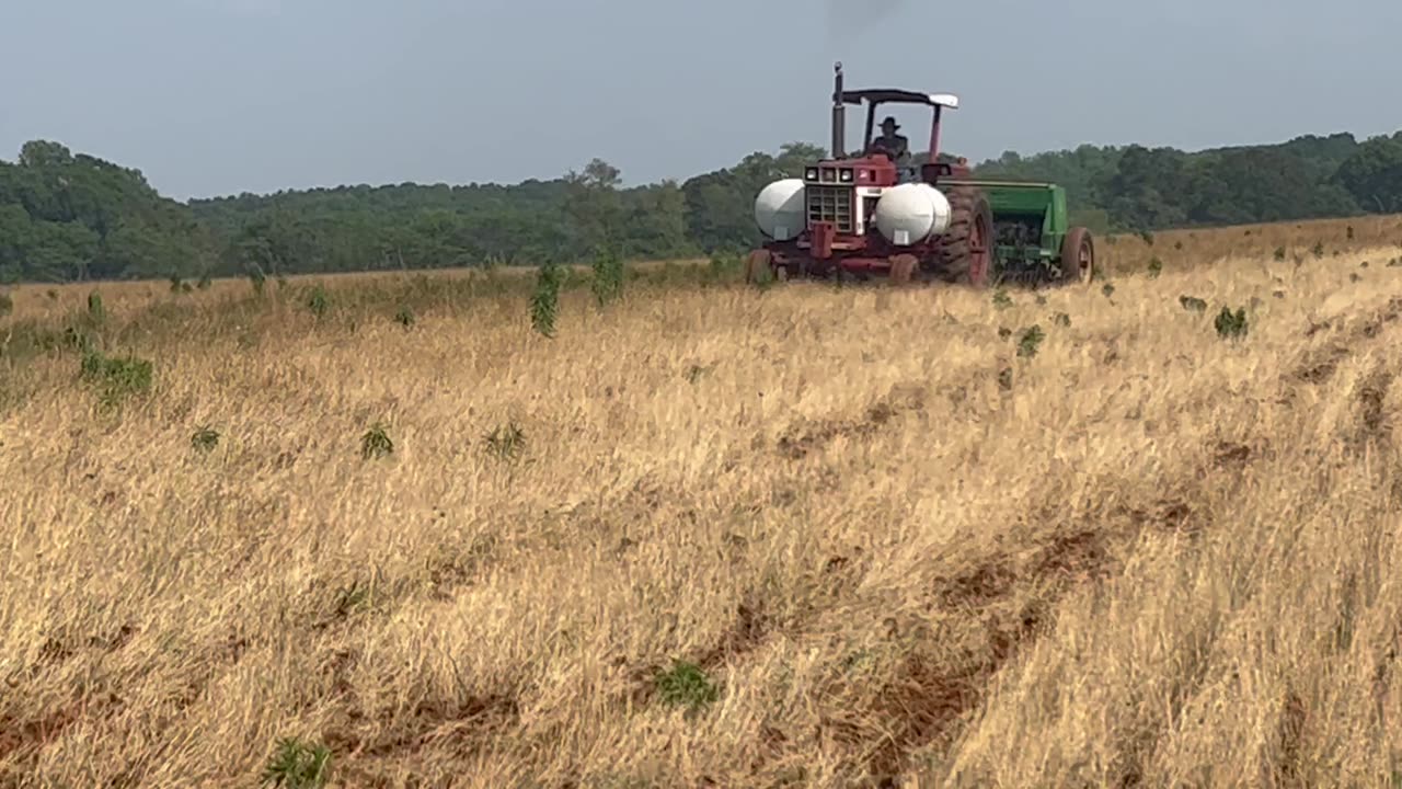 IH 1066 soybean planting