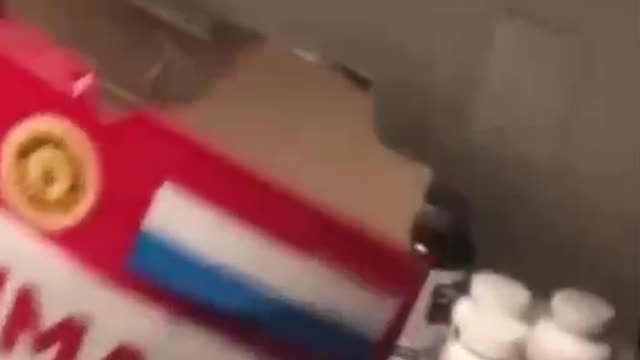 That's cat