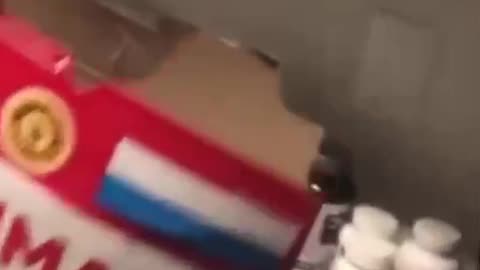 That's cat
