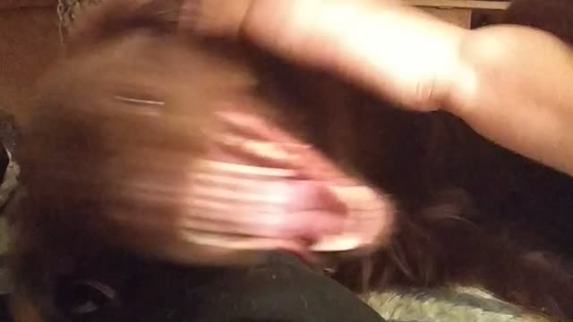My mom is playing with a dog