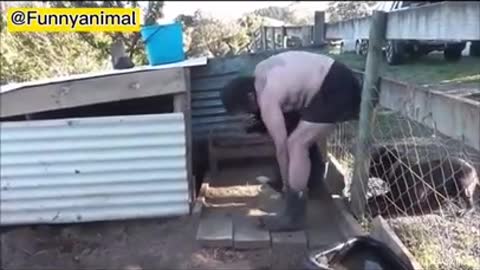 Try not to laugh
