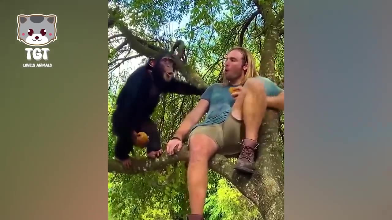 Funny Animal and Human That Will Change Your Mood For Good - Cute Funny Dog Videos