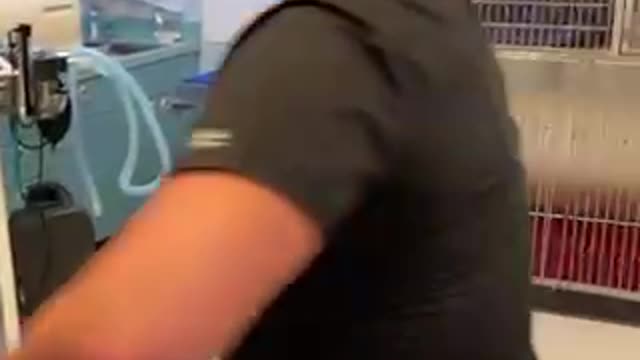 Vaccine reveals ID tag.