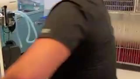 Vaccine reveals ID tag.