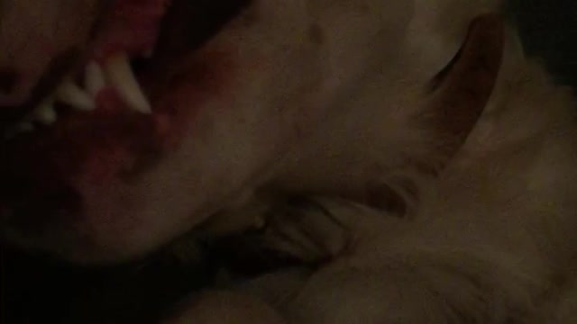 Dog sleeping with mouth opened