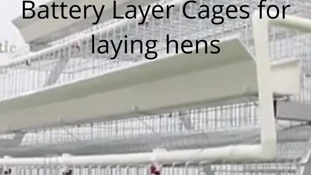 Labor Saving Kenya Poultry Farm Chicken Battery Layer Cages for laying hens