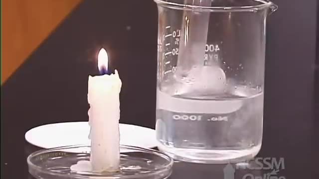 Reaction of Sodium and water!