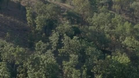 Flying through a landscape covered with hills and trees