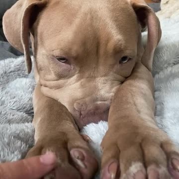 Ahhh she winked at ME🤭